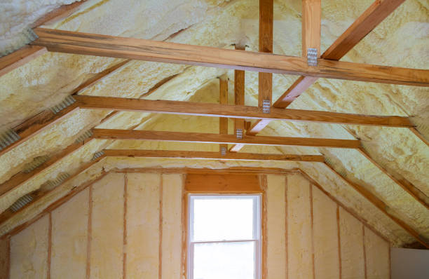 Best Residential Insulation in St Augustine South, FL