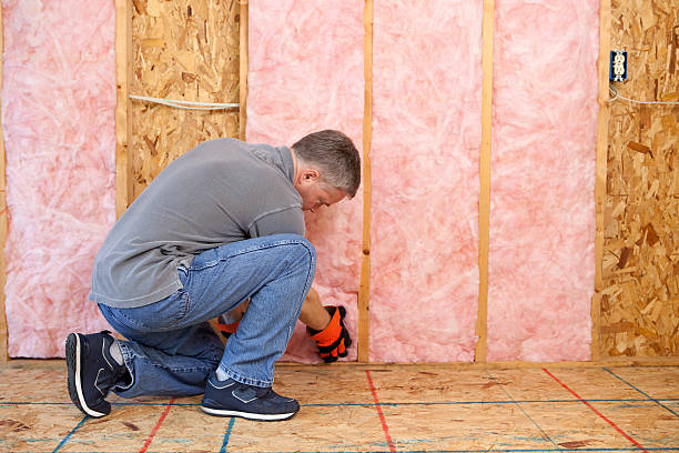 Best Fiberglass Insulation in St Augustine South, FL