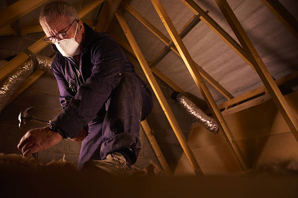 Best DIY Insulation Kits and Guidance in St Augustine South, FL