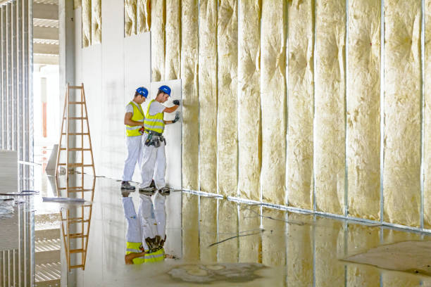 Best Fiberglass Insulation in St Augustine South, FL